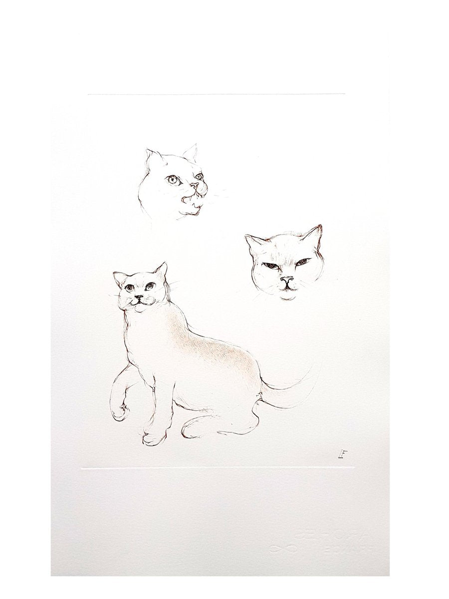 Leonor Fini - Cats - Original Etching 1985