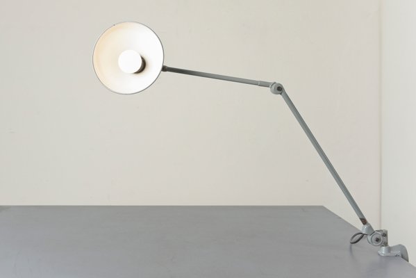 Light Grey Clamp Lamp from B.A.G. Turgi, 1930s-LOB-864844