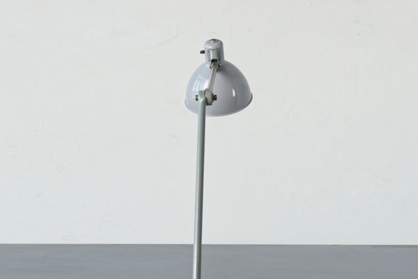 Light Grey Clamp Lamp from B.A.G. Turgi, 1930s-LOB-864844