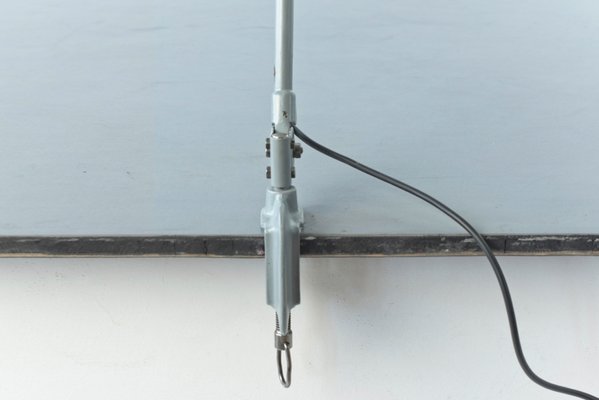 Light Grey Clamp Lamp from B.A.G. Turgi, 1930s-LOB-864844