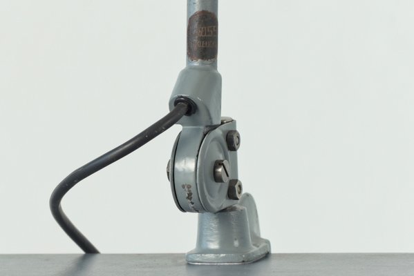 Light Grey Clamp Lamp from B.A.G. Turgi, 1930s-LOB-864844