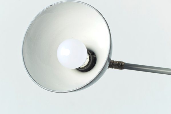 Light Grey Clamp Lamp from B.A.G. Turgi, 1930s-LOB-864844