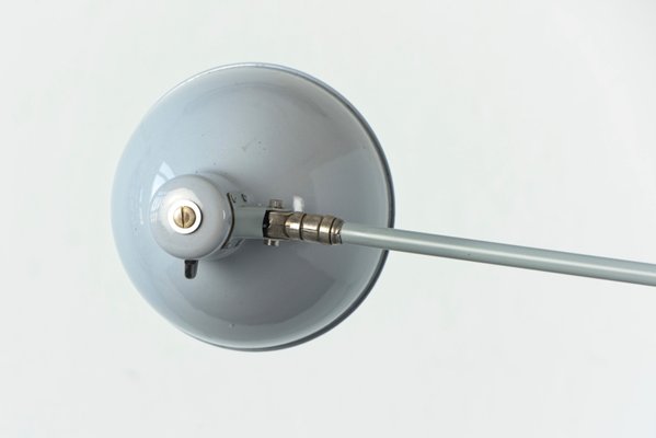 Light Grey Clamp Lamp from B.A.G. Turgi, 1930s-LOB-864844