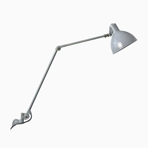 Light Grey Clamp Lamp from B.A.G. Turgi, 1930s-LOB-864844