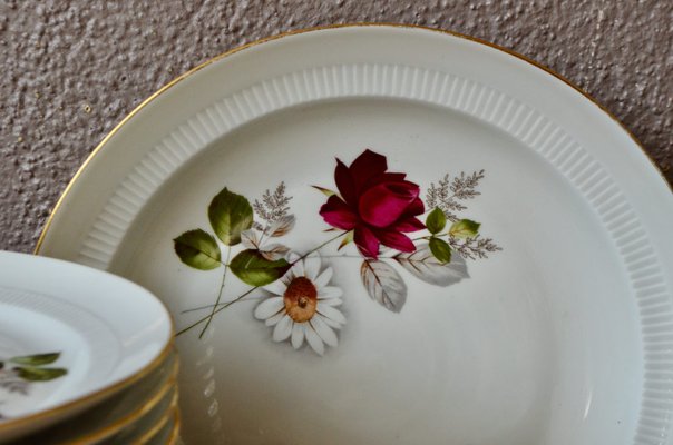 Limoges Porcelain Dinner Service, 1950s, Set of 29-AIU-1424872