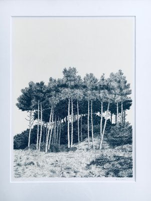 Lithograph, Duinen, Cees Vlag, 1987-RQV-988417