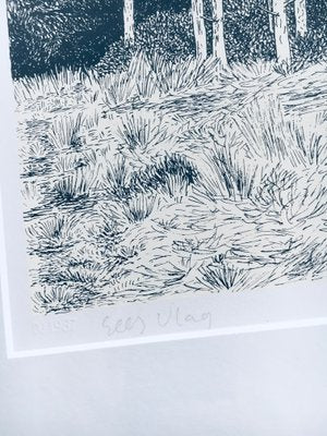 Lithograph, Duinen, Cees Vlag, 1987-RQV-988417