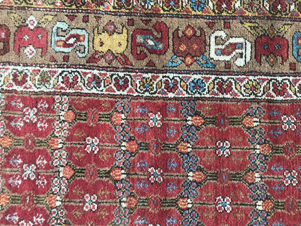 Long 19th Century Kurdish Rug