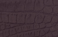 C2370050