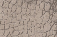 C2420050