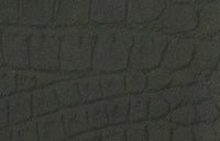 C2640173