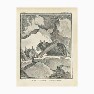 Louis Legrand, La Chauve, Etching, 1771-ZCI-2029910