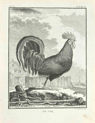 Louis Legrand, Le Coq, Etching, 1771-ZCI-2029951