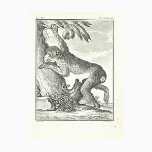 Louis Legrand, Papion, Etching, 1771-ZCI-2029921