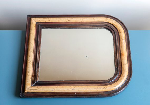 Louis Philippe French Tortoise Print Farmhouse Mirror, 1900s-BJS-2026878