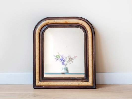 Louis Philippe French Tortoise Print Farmhouse Mirror, 1900s-BJS-2026878