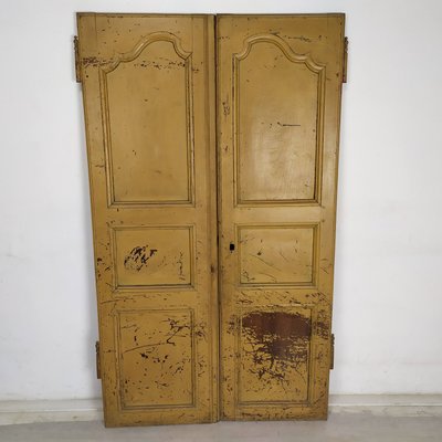 Louis XV Closet Doors, Set of 2