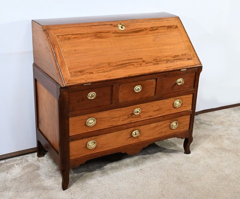 Louis XV Secretaire in Mahogany, 18th Century-RVK-1701974