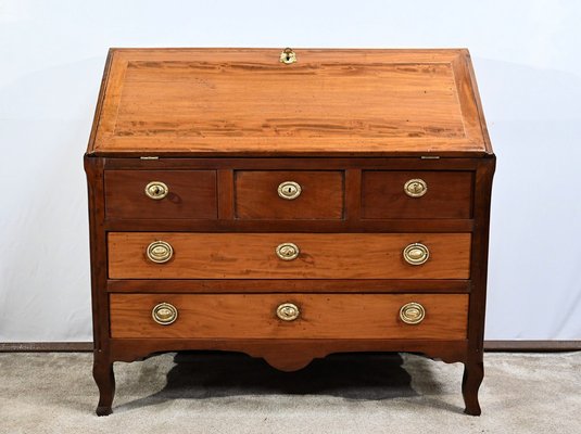 Louis XV Secretaire in Mahogany, 18th Century-RVK-1701974