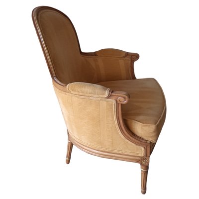 Louis XV Style Bergere Armchair-TCS-1072627