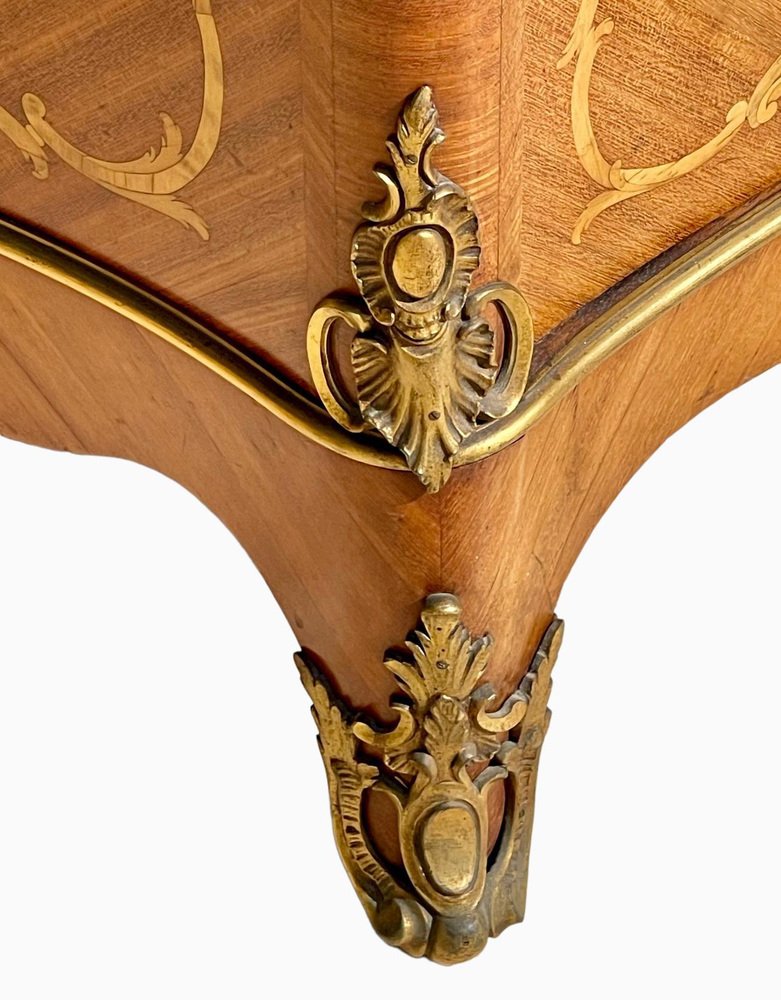 Louis XV Style Cartonnier Showcase by Théodore Millet