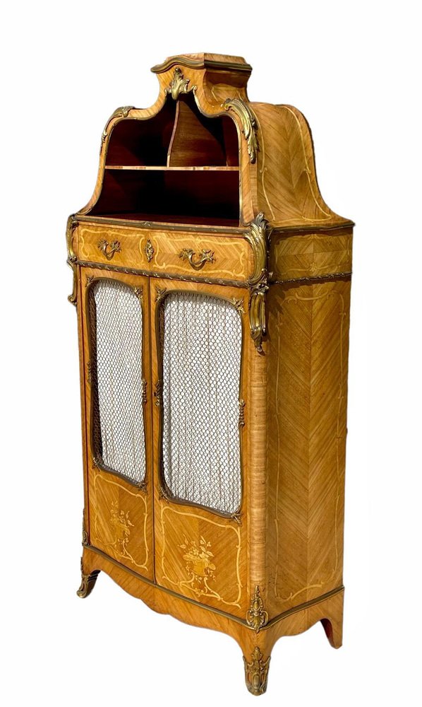 Louis XV Style Cartonnier Showcase by Théodore Millet