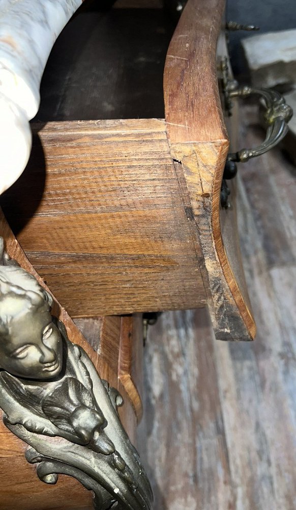 Louis XV Style Chest of Drawers in Precious Wood Marquetry, 1890s