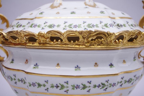 Louis XV Style French Porcelain Soup Tureen, 1900s-CEJ-488384