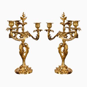 Louis XV Style Gilded Bronze Candelabras, Late 19th Century, Set of 2-RVK-1724981