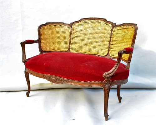 Louis XV Style Mahogany and Cane Lounge Chair-SYQ-783394