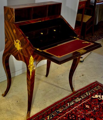 Louis XV Style Slope Desk in Precious Wood Marquetry, 1890s-EQU-1417790