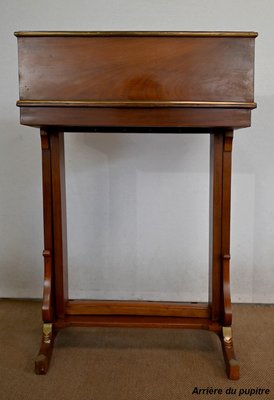 Louis XVI Desk, 19th Century-RVK-1440770