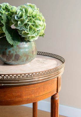 Louis XVI French Bouillotte Round Side Table in Mahogany Wood, Marble Top & Brass Edge, 1920s-BJS-2026984