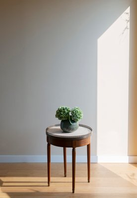 Louis XVI French Bouillotte Round Side Table in Mahogany Wood, Marble Top & Brass Edge, 1920s-BJS-2026984