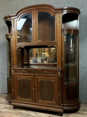 Louis XVI Half-Shaped Mahogany Library, 1850s-MWB-1121906