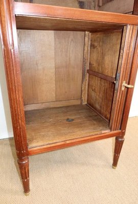 Louis XVI Style Cabinet, Late 19th-Century-RVK-1264158