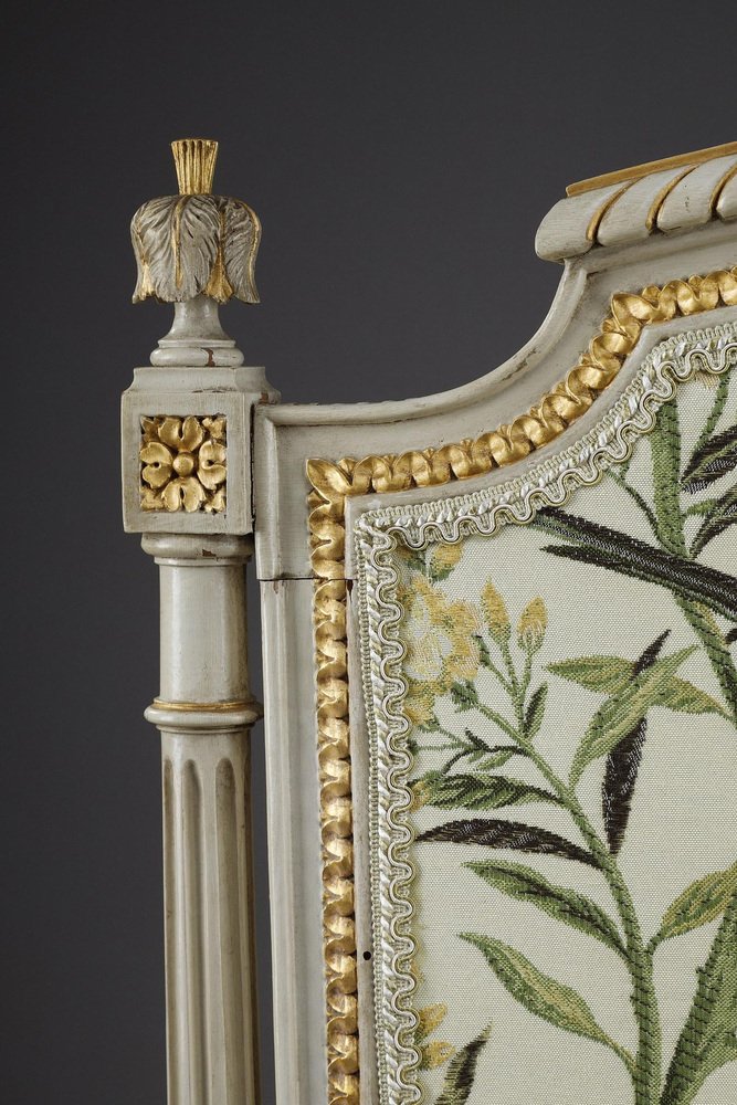 Louis XVI Style Gilded Wood Fire Screen with Parrots