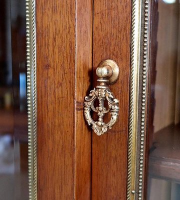 Louis XVI Style Mahogany Library, Late 19th-Century-RVK-1263560