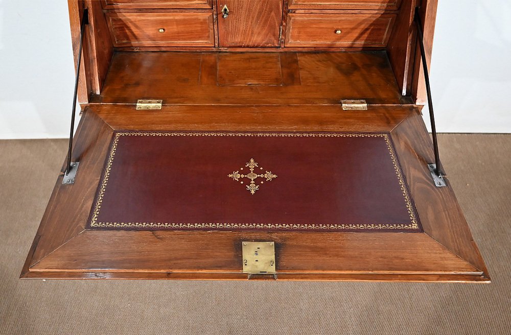 Louis XVI Style Slope Desk Showcase in Acacia, Early 19th Century