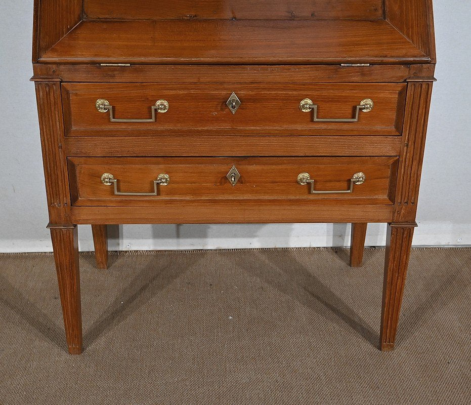 Louis XVI Style Slope Desk Showcase in Acacia, Early 19th Century