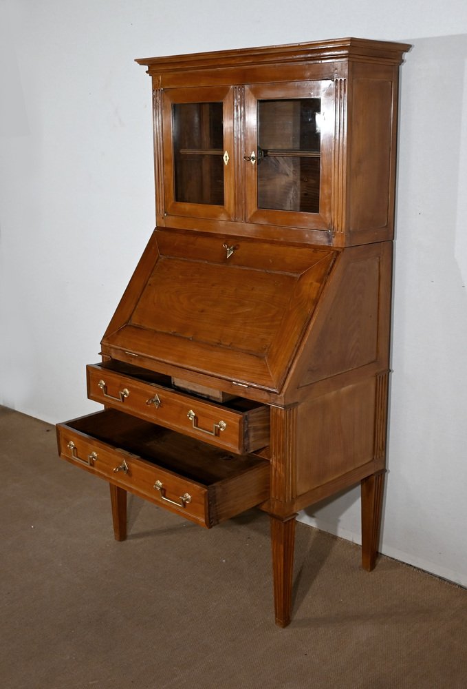 Louis XVI Style Slope Desk Showcase in Acacia, Early 19th Century