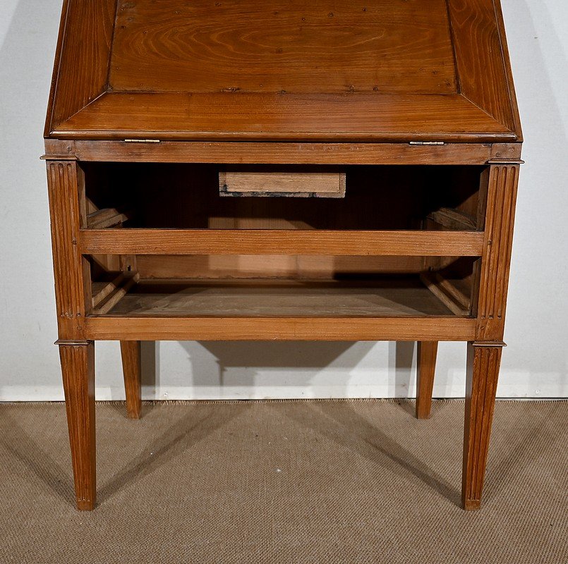 Louis XVI Style Slope Desk Showcase in Acacia, Early 19th Century