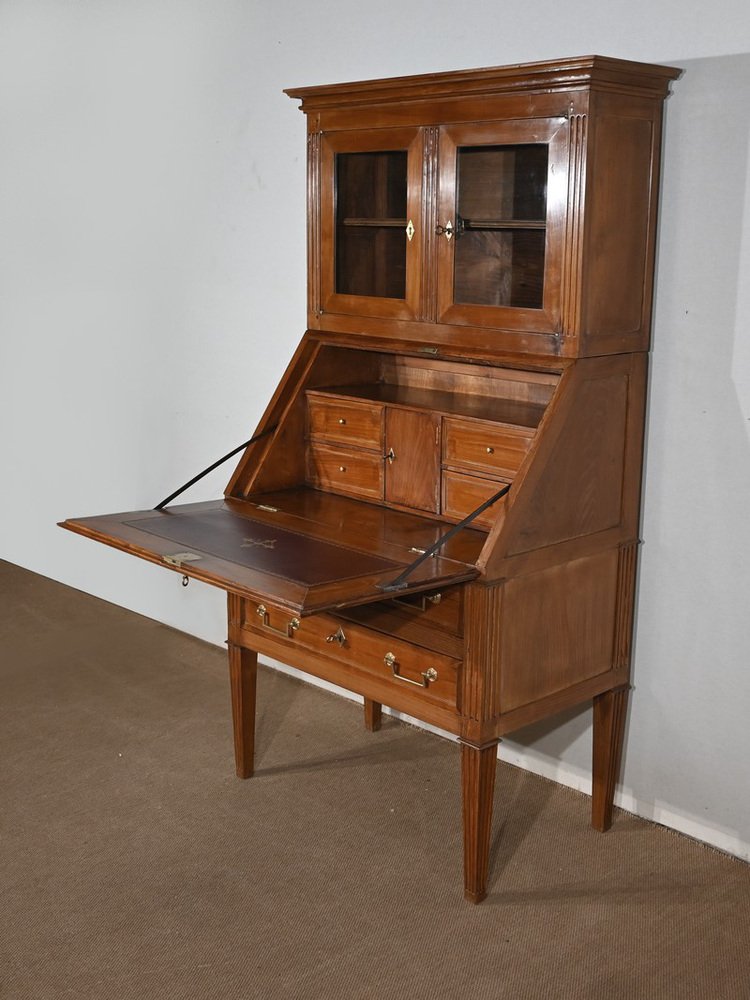 Louis XVI Style Slope Desk Showcase in Acacia, Early 19th Century