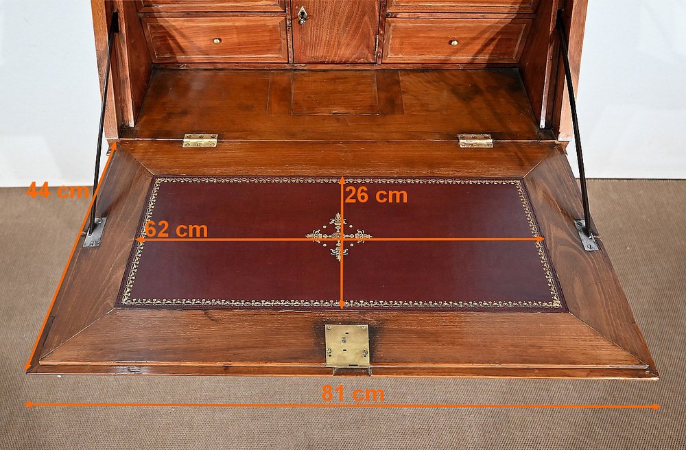 Louis XVI Style Slope Desk Showcase in Acacia, Early 19th Century