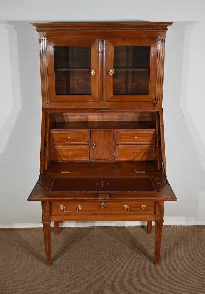 Louis XVI Style Slope Desk Showcase in Acacia, Early 19th Century