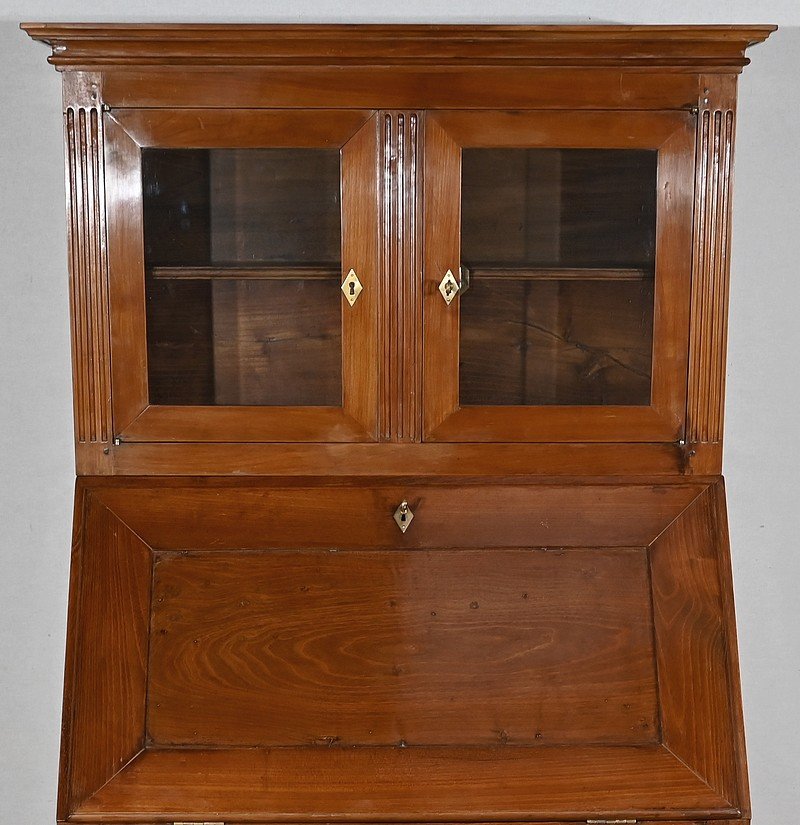 Louis XVI Style Slope Desk Showcase in Acacia, Early 19th Century