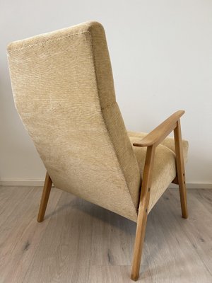 Lounge Chair by Ton for Jitona, Former Czechoslovakia, 1960s-YNX-1742819