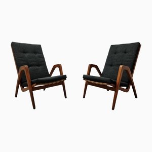 Lounge Chairs by Jan Vanek, Set of 2-QJA-1305251