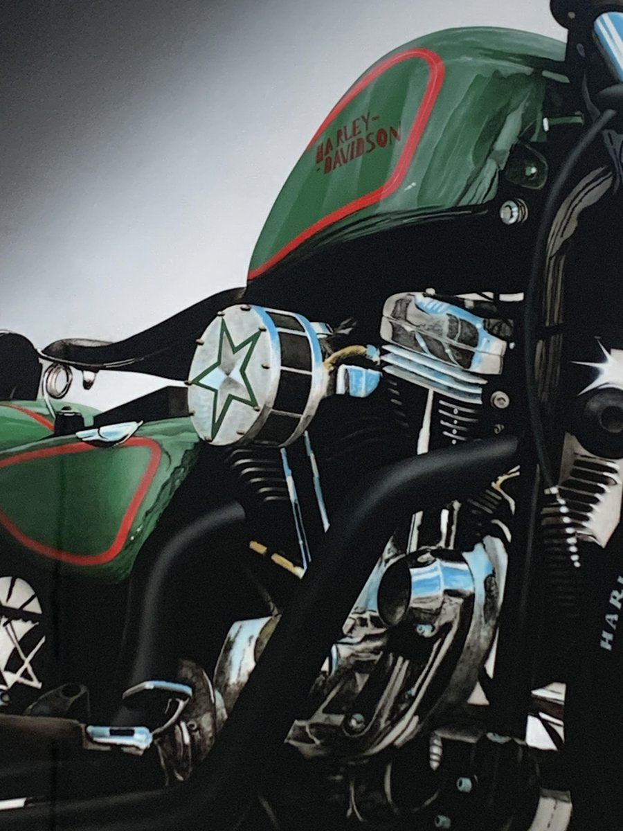 Luca Pagani, Harley Davidson 883 Custom, Acrylic on Aluminum, 2008