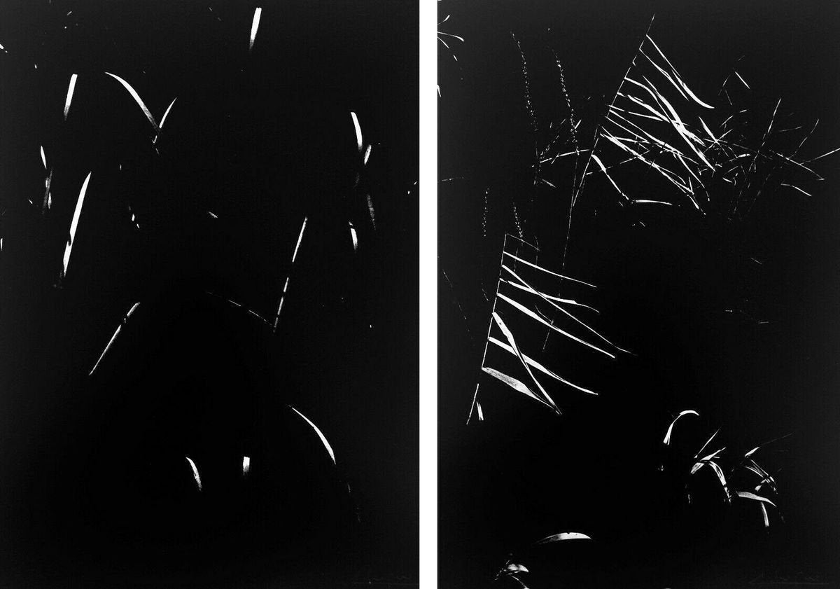 Lucien Clergue, Secret Camargue, 1976, Photogravures, Set of 2